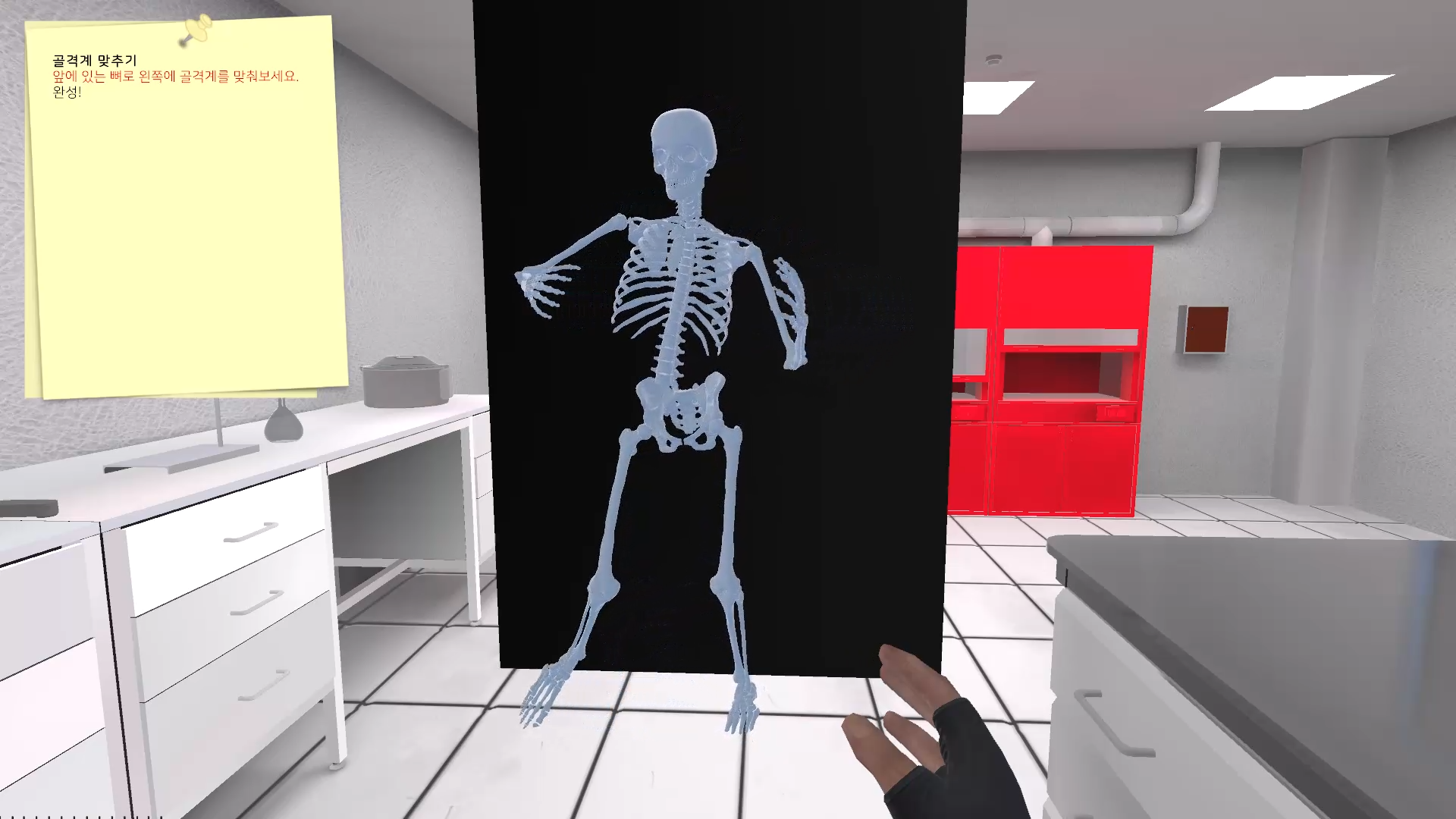 Skeletal System